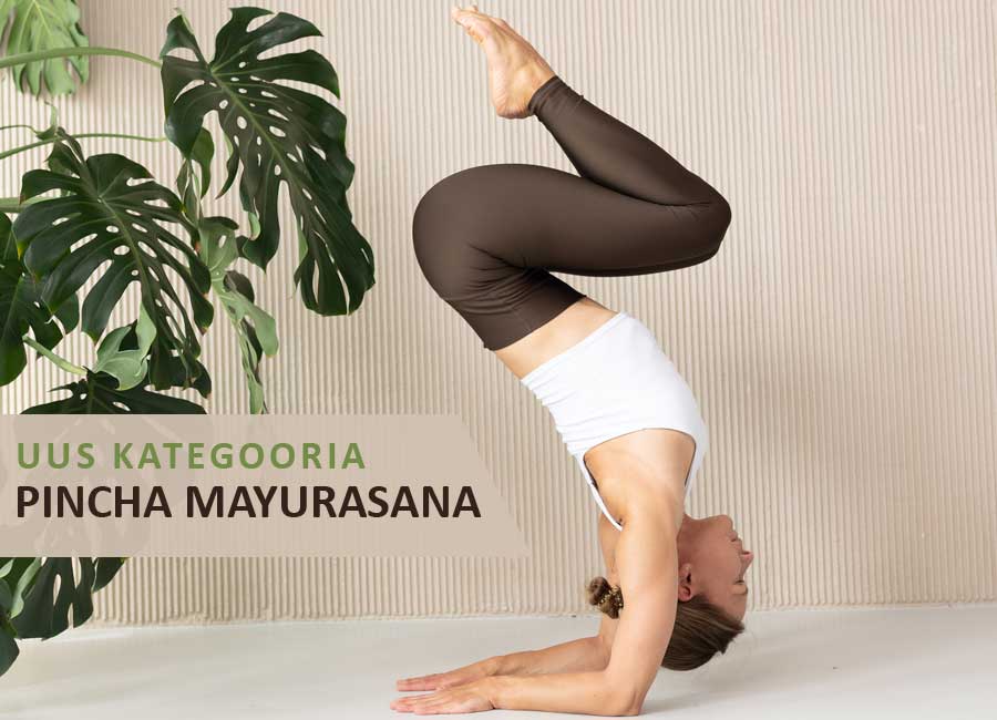 Pincha Mayurasana